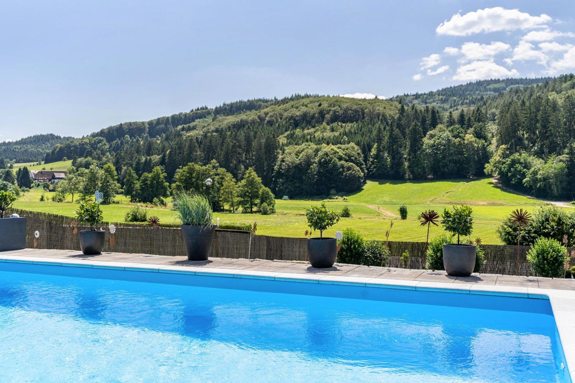 Ferienwohnung Geisbergblick Seelbach  Buitenkant foto